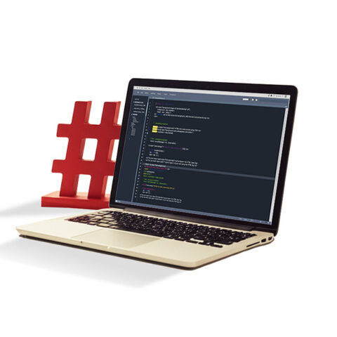 Web Designing & Development
